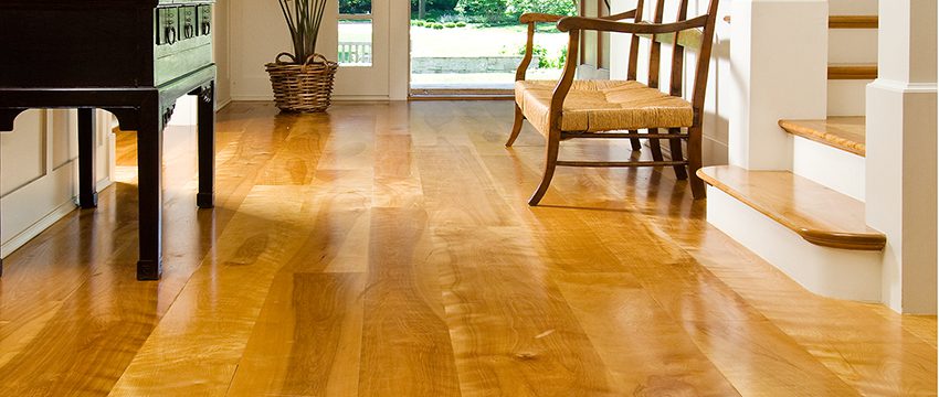 Birch vs. Oak Wood Floors: Which Is The Better Option?