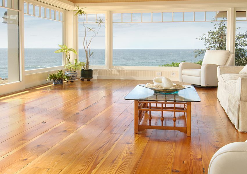 From the Ground Up: How Wood Characteristics Influence Plank Width