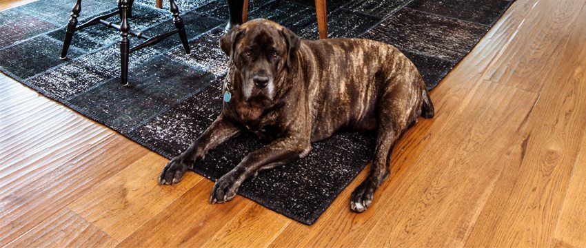 Debunking Myths About Hardwood Floors